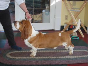 busterstacked.jpg